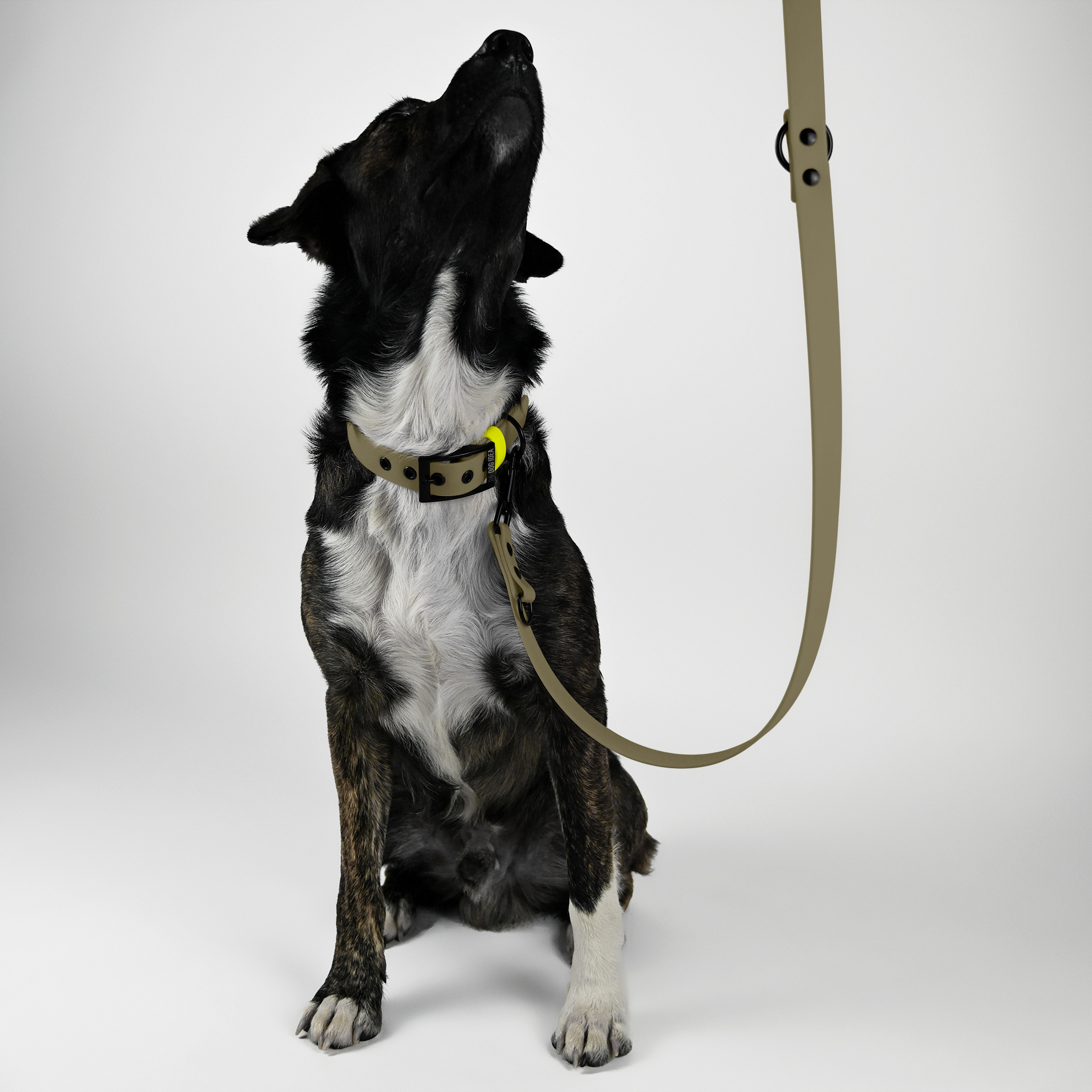 THE DOG IDEA Hundeleinen THE DOG IDEA Biothane Hundeleine Beige neon gelb