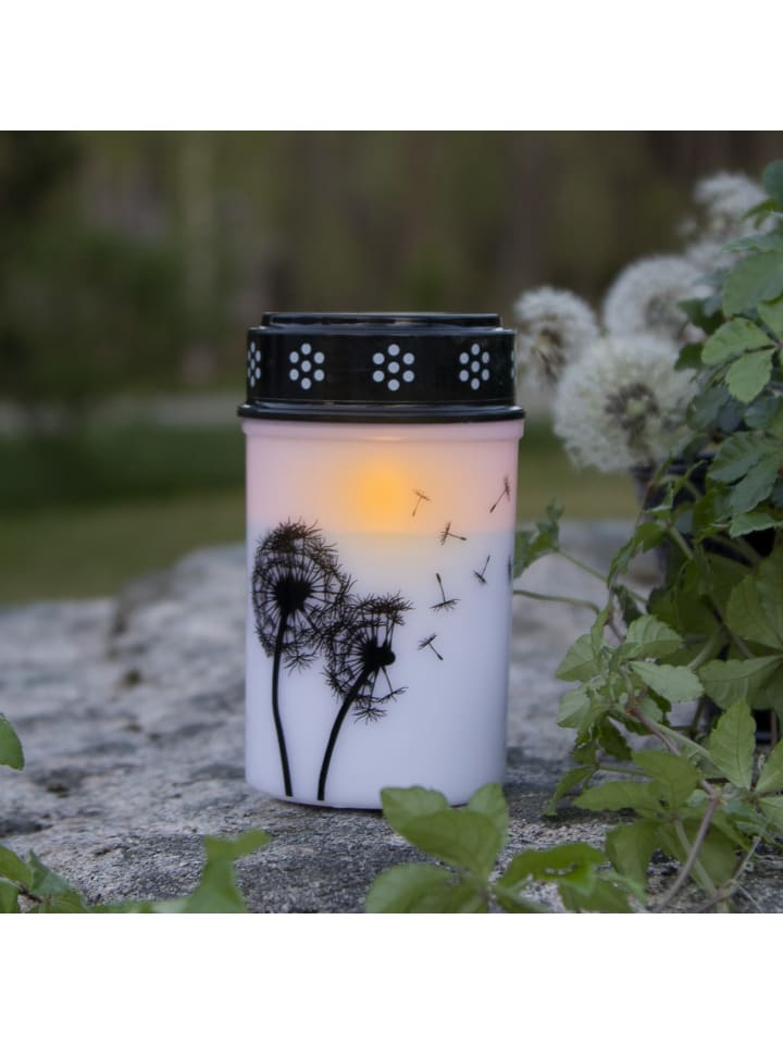 STAR Trading LED Grabkerze 'Dandelion', Timer, 12cm günstig kaufen onesize