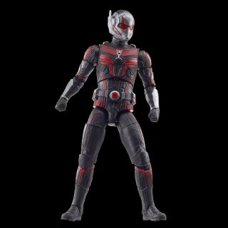 Marvel Legends Series: Cassie Lang BAF: Ant-Man