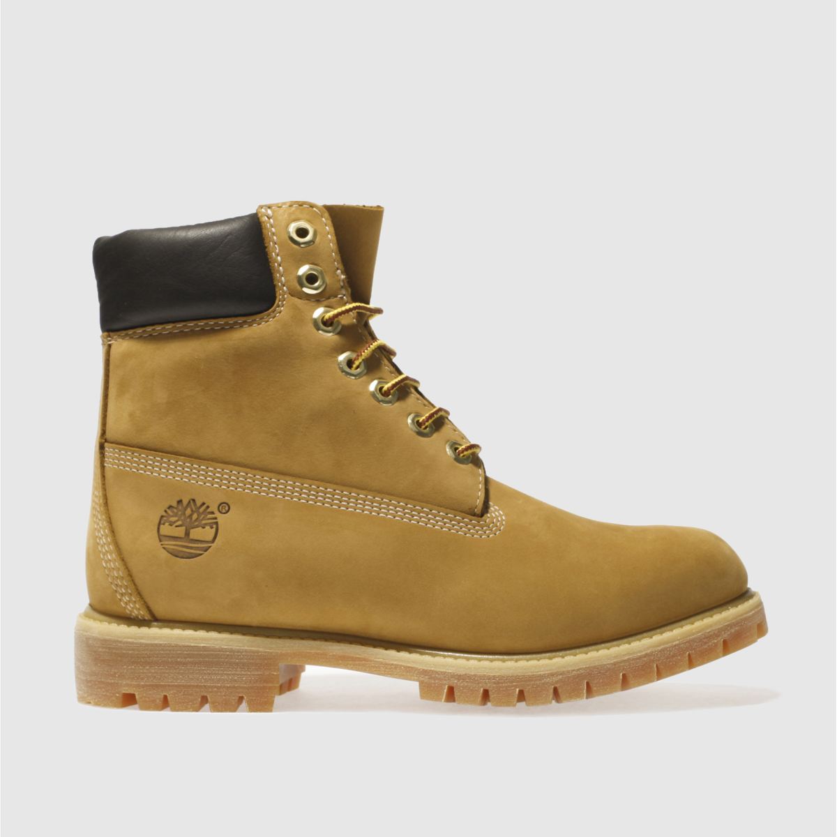 Timberland vrhunski 6-palčni škornji v naravni barvi