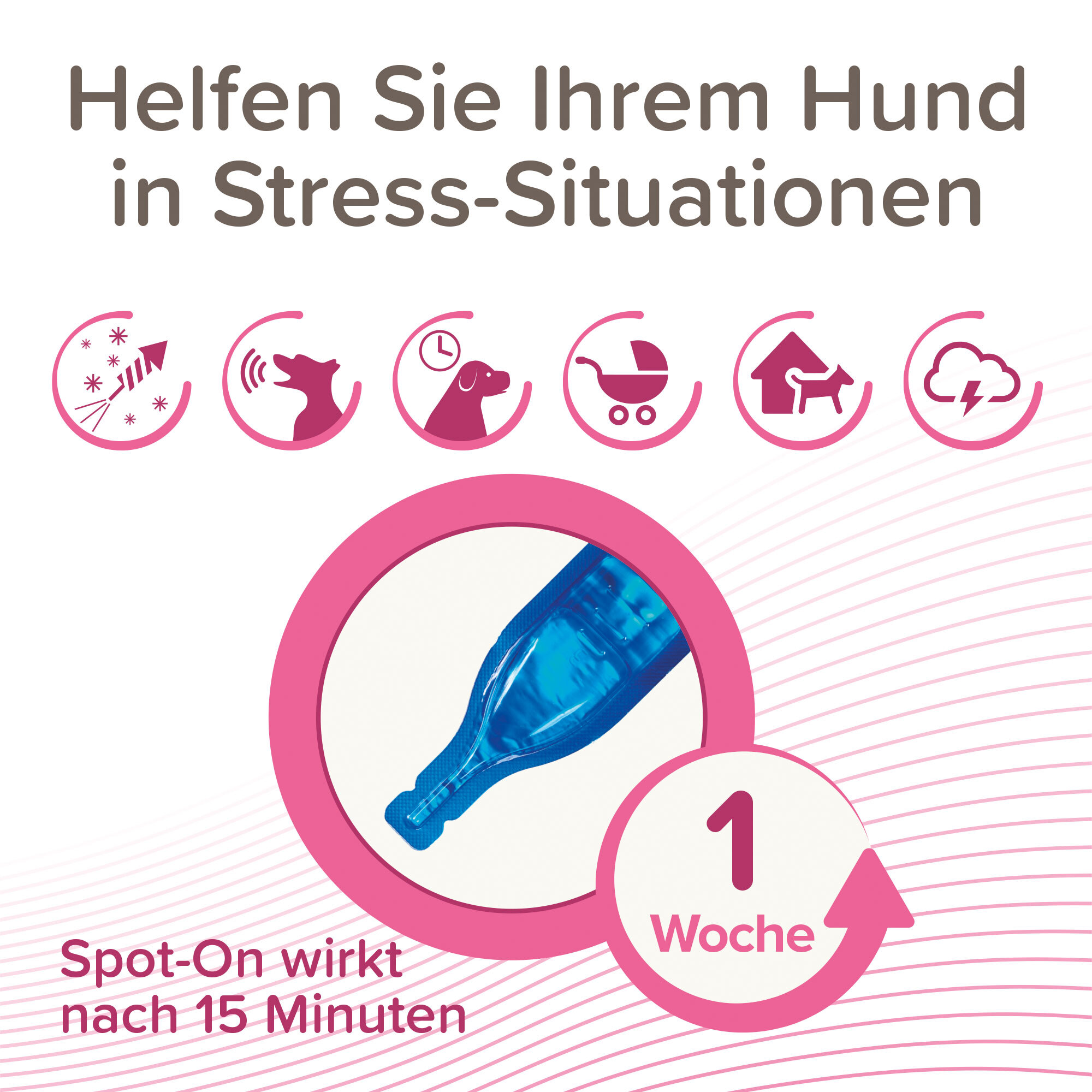Beaphar Beruhigungsmittel Beaphar CaniComfort Wohlfühl Spot-On 3x1 ml