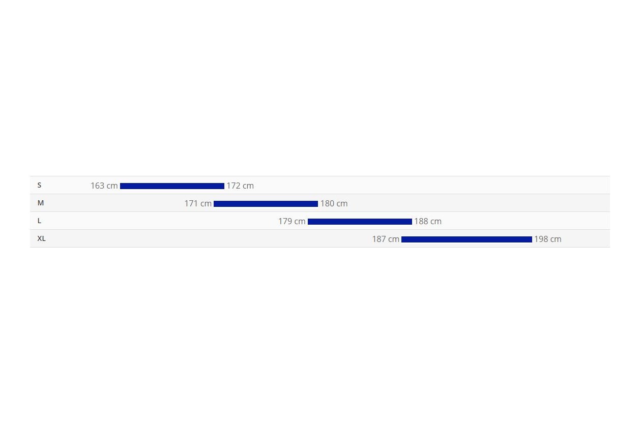 Giant Trance 3 - 2021 - 29 Zoll - Fully