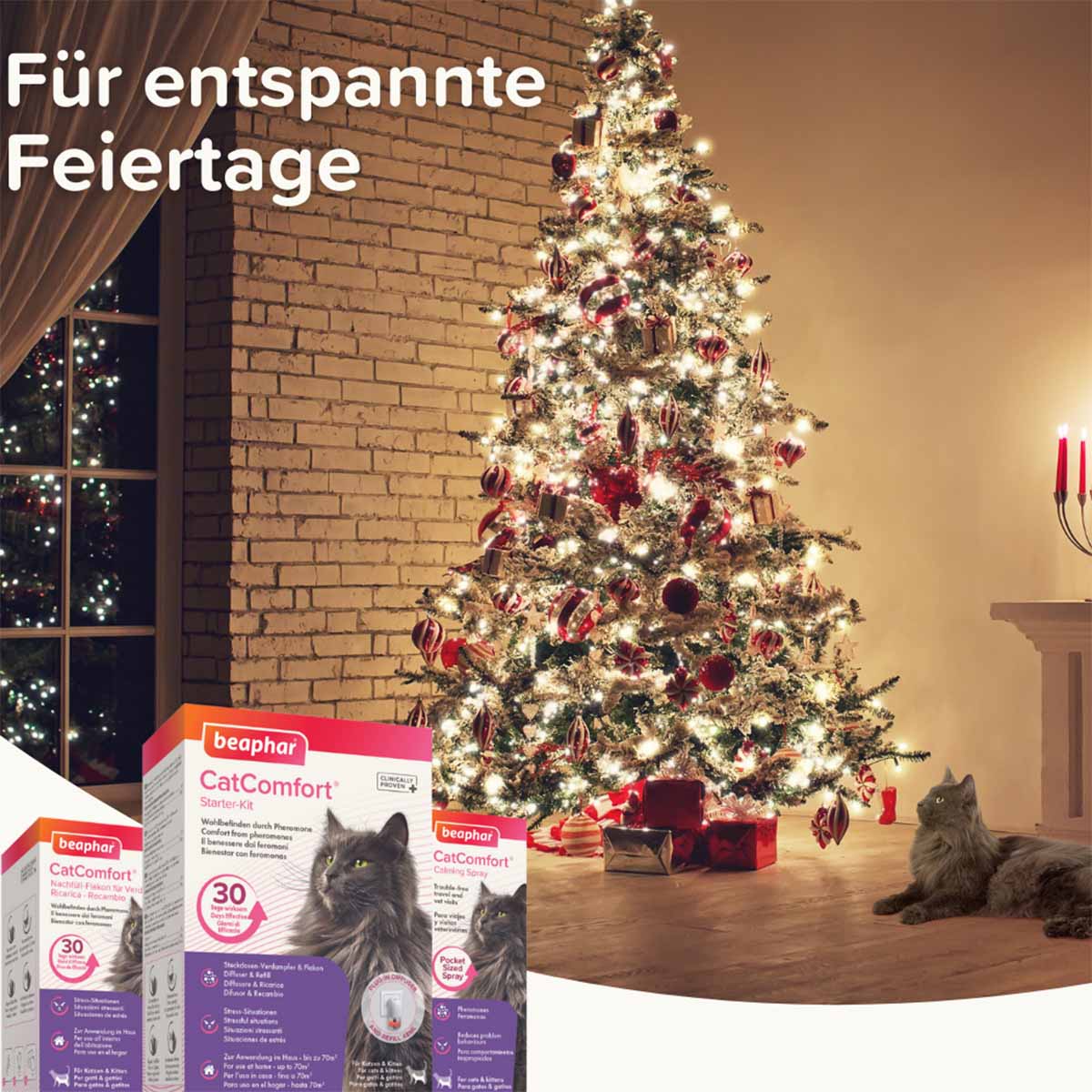 beaphar CatComfort Wohlfühl Spot-On 3x0,55ml kaufen bei ZooRoyal