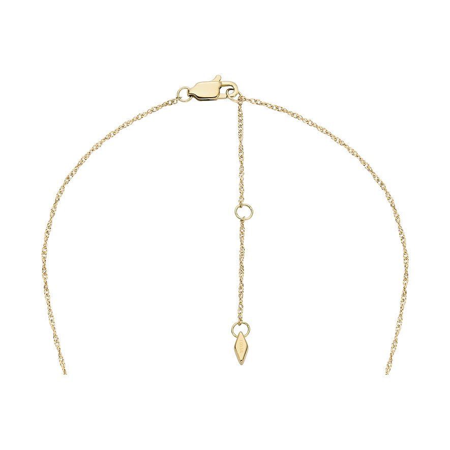 Fossil Kette