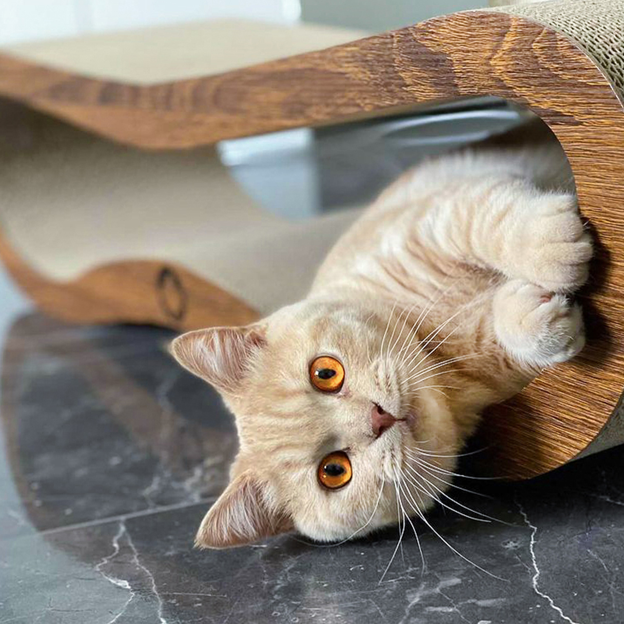 Canadian Cat Company Kratzbretter & Kratzpappen Canadian Cat Company Kratzbrett Orbit 2.0 braun