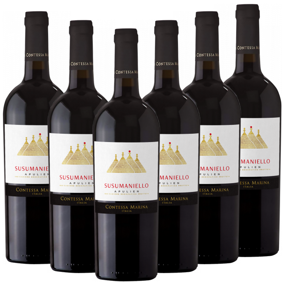 Casa Vinicola Botter Susumaniello Salento IGT Contessa Marina Italien  trocken - 6er Karton
