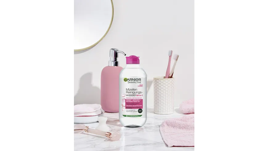 Garnier Skin Active Mizellen Reinigungswasser All-in-1 für trockene Haut - Entfernt Make-up und Unreinheiten 400 ml