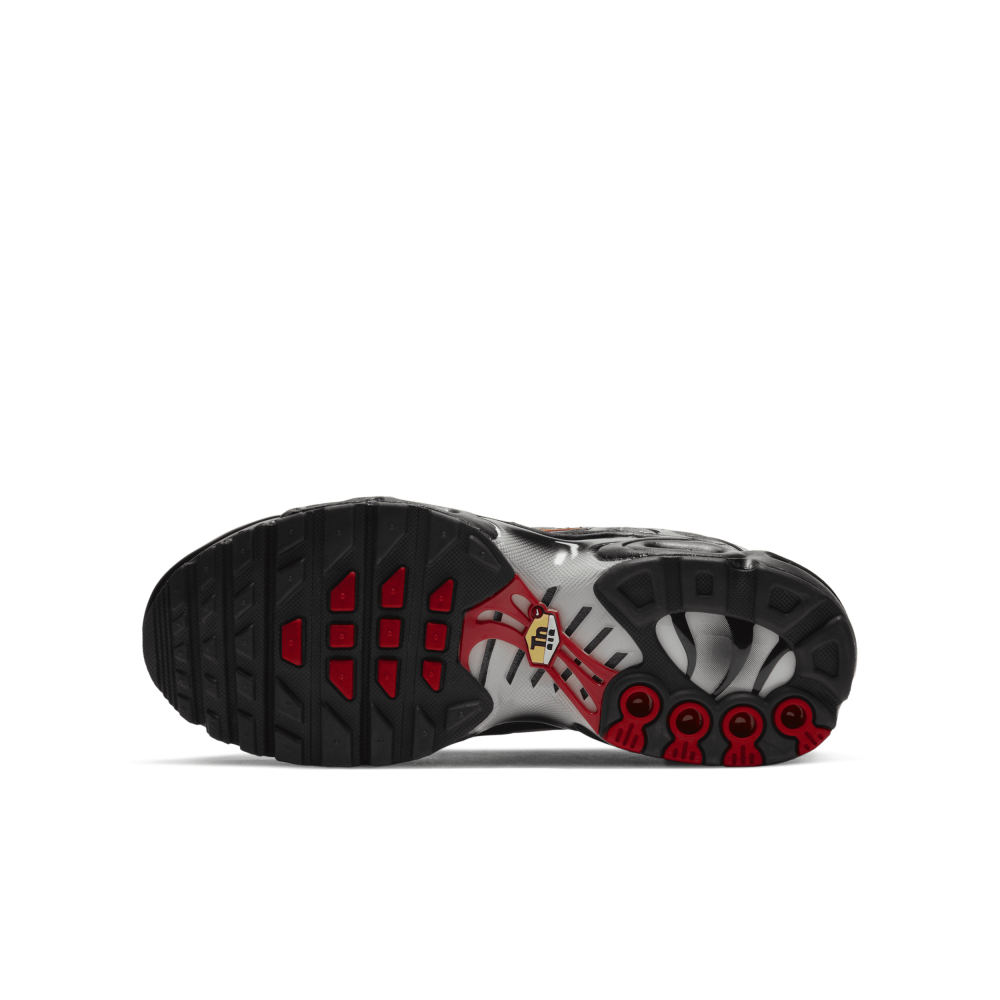Nike Air Max Plus DJ4622-001 / schwarz