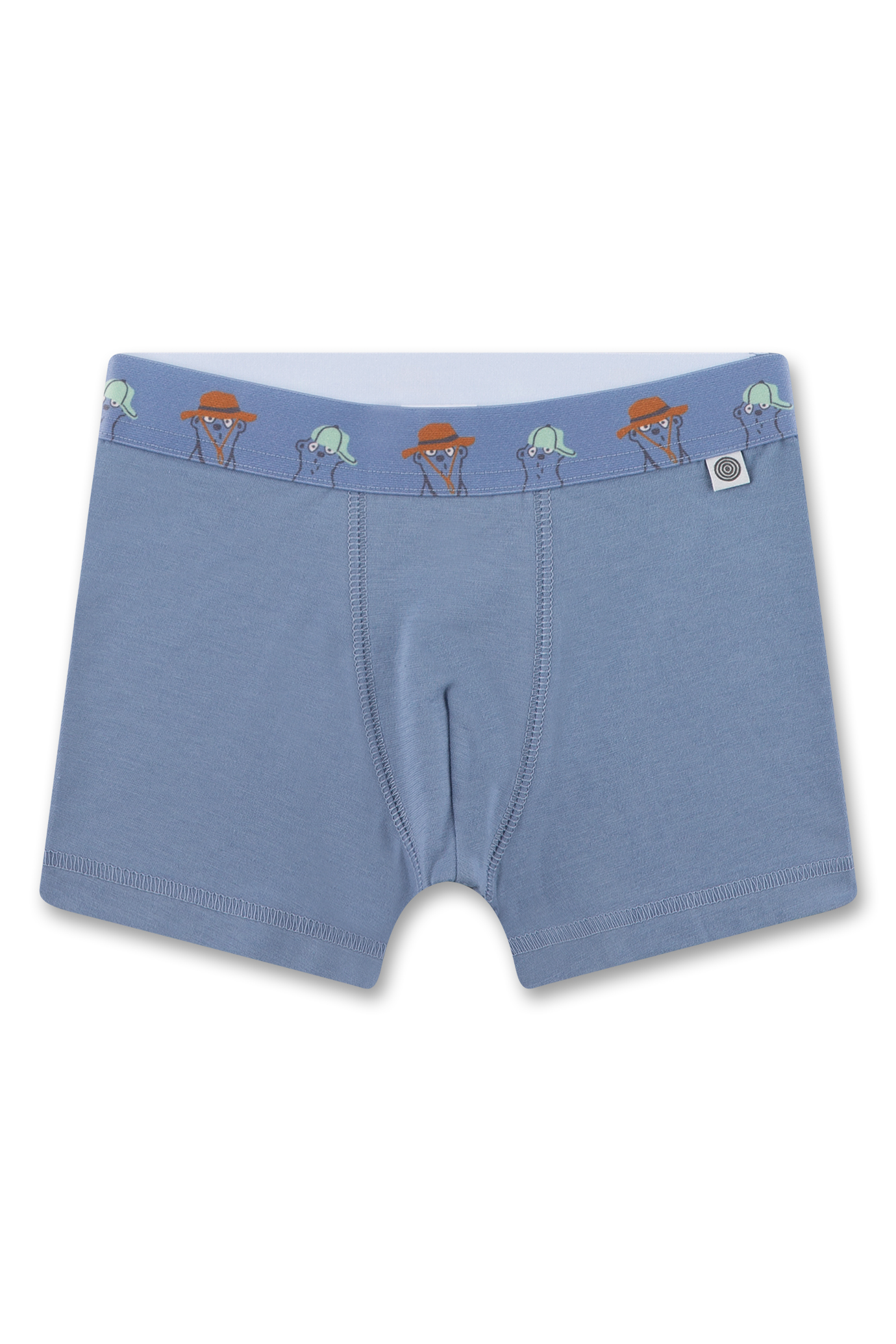 Jungen-Hipshorts (Doppelpack) grün & blau