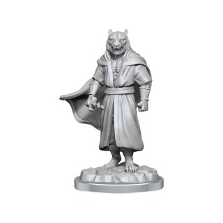 Critical Role Unpainted Miniatures: Male Human Sorcerer Merchant & Tiger Demon (2)