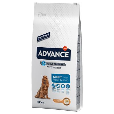 Advance Medium Adult