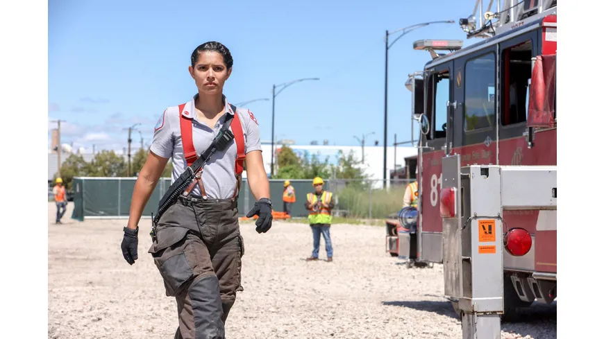 Chicago Fire - Staffel 11  [5 DVDs]