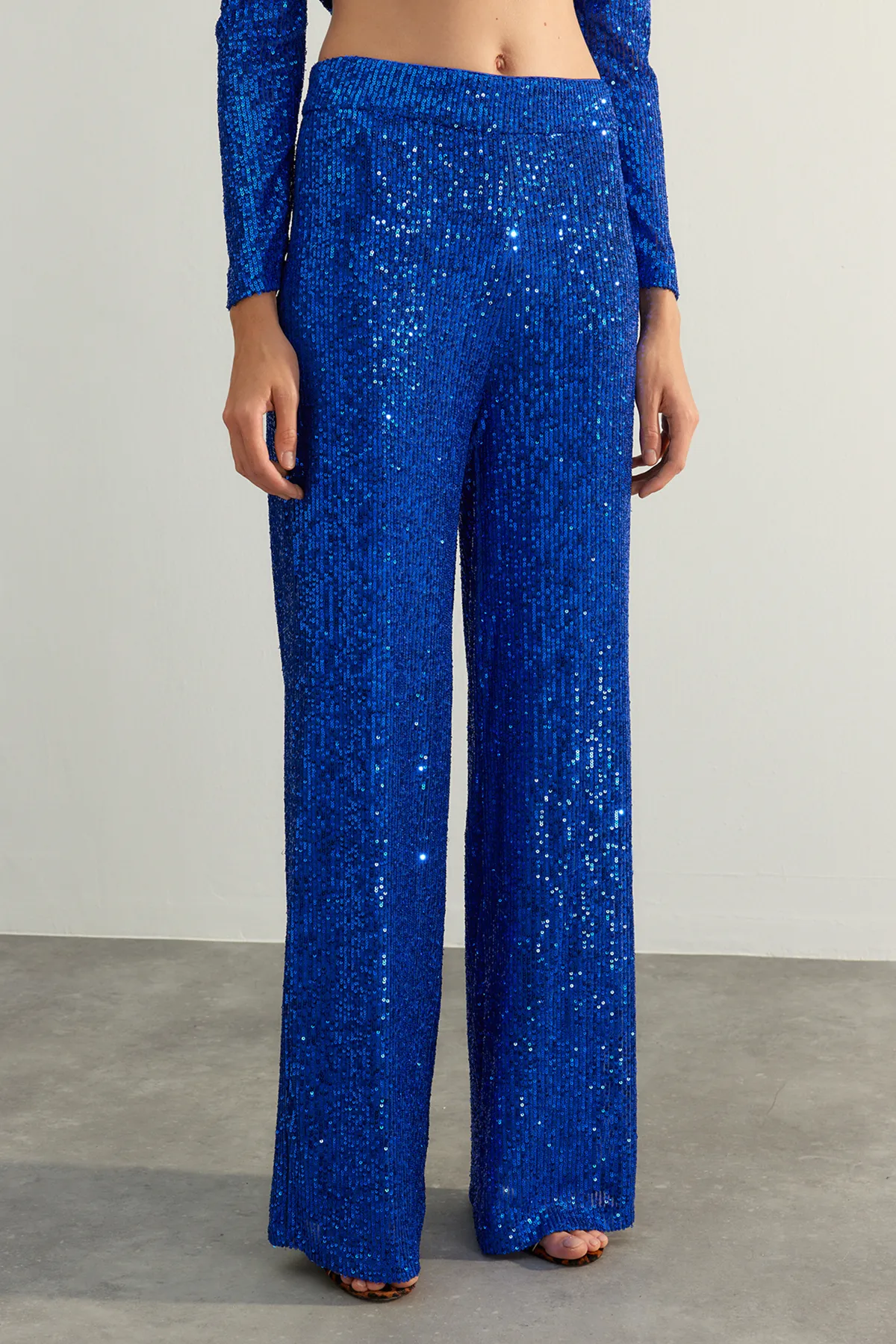 Trendyol Collection  Saks Shiny Pailletten-Hose mit Pailletten TPRAW24PL00020