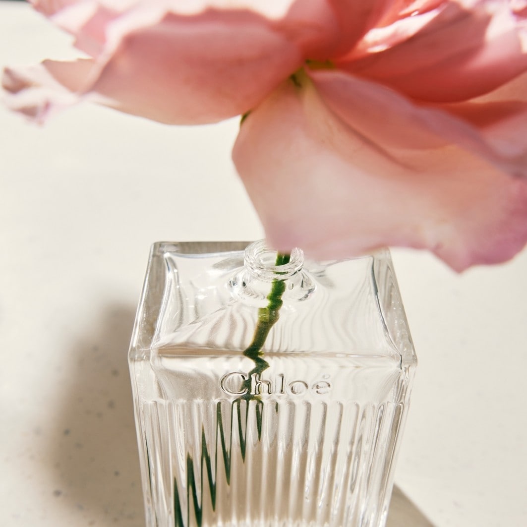 Chloé Lumineuse
