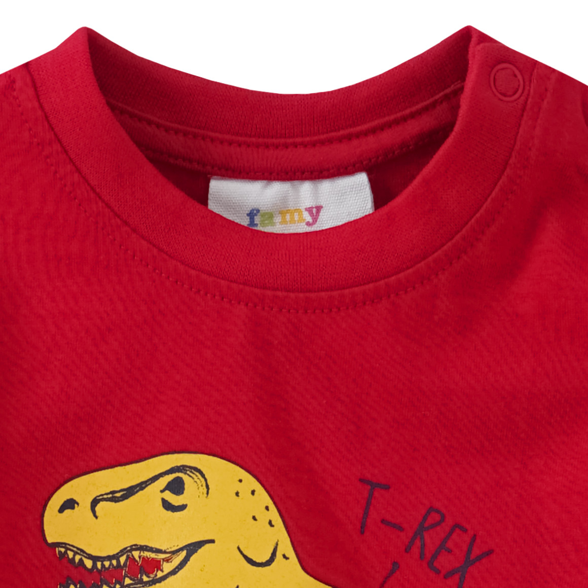 Baby Langarmshirt mit Dino-Print
