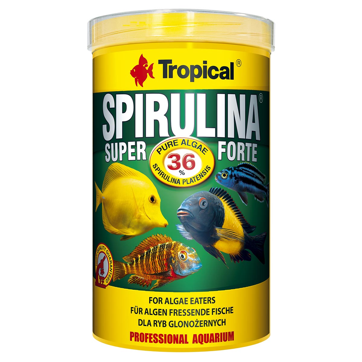 Tropical Super Spirulina Forte (36%) 1L kaufen
