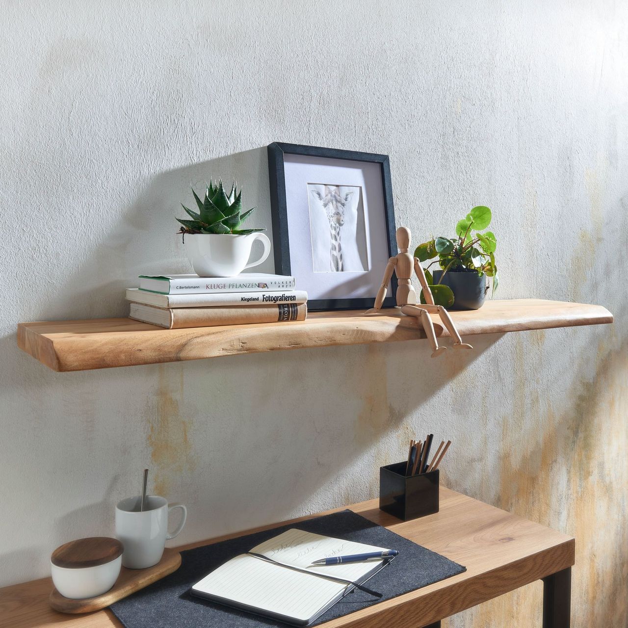 Skyport WOHNLING Wandregal Baumkante Akazie Holz Design Schweberegal 120 cm Regal Massiv