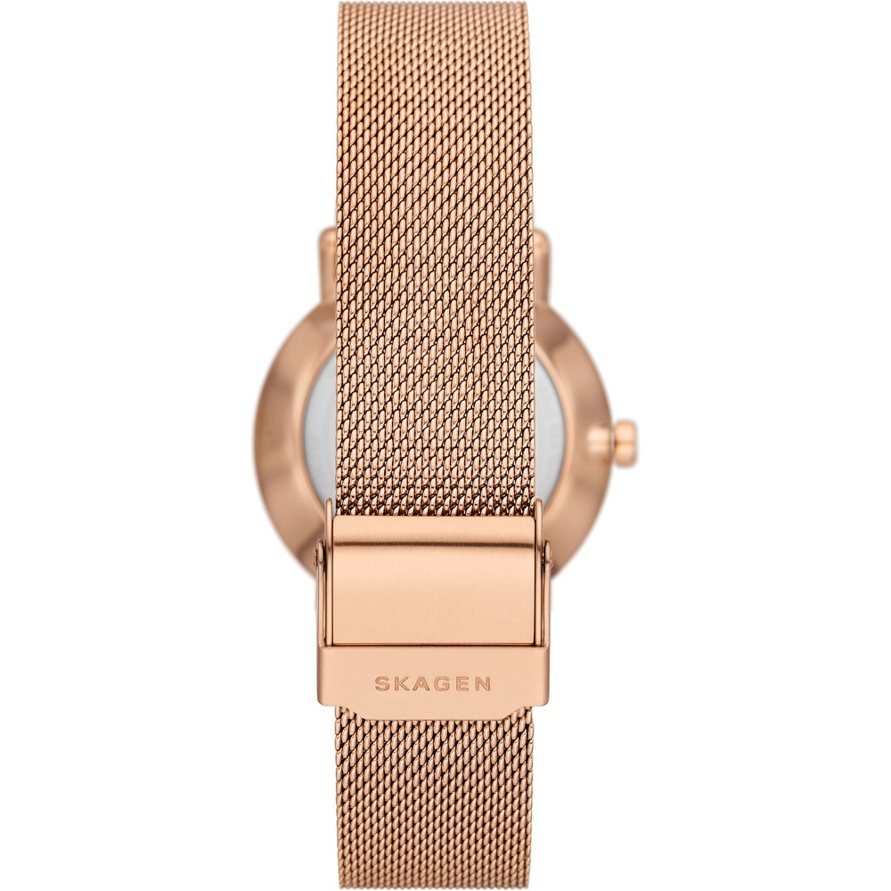 Skagen Montre pour femme Acier inoxydable Montre