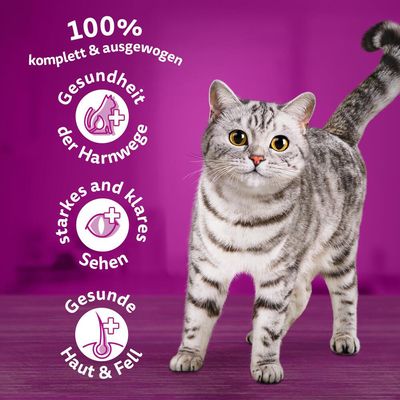 Whiskas 1+ Lamm