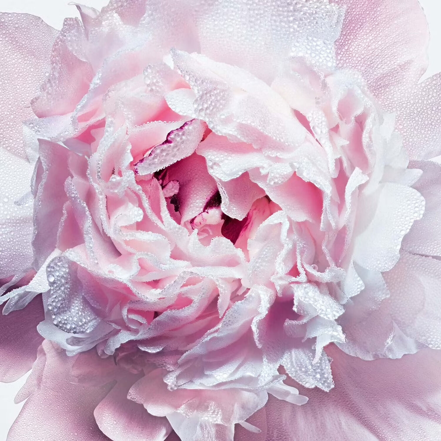 Dior Miss Dior Lait fondant pour le Corps