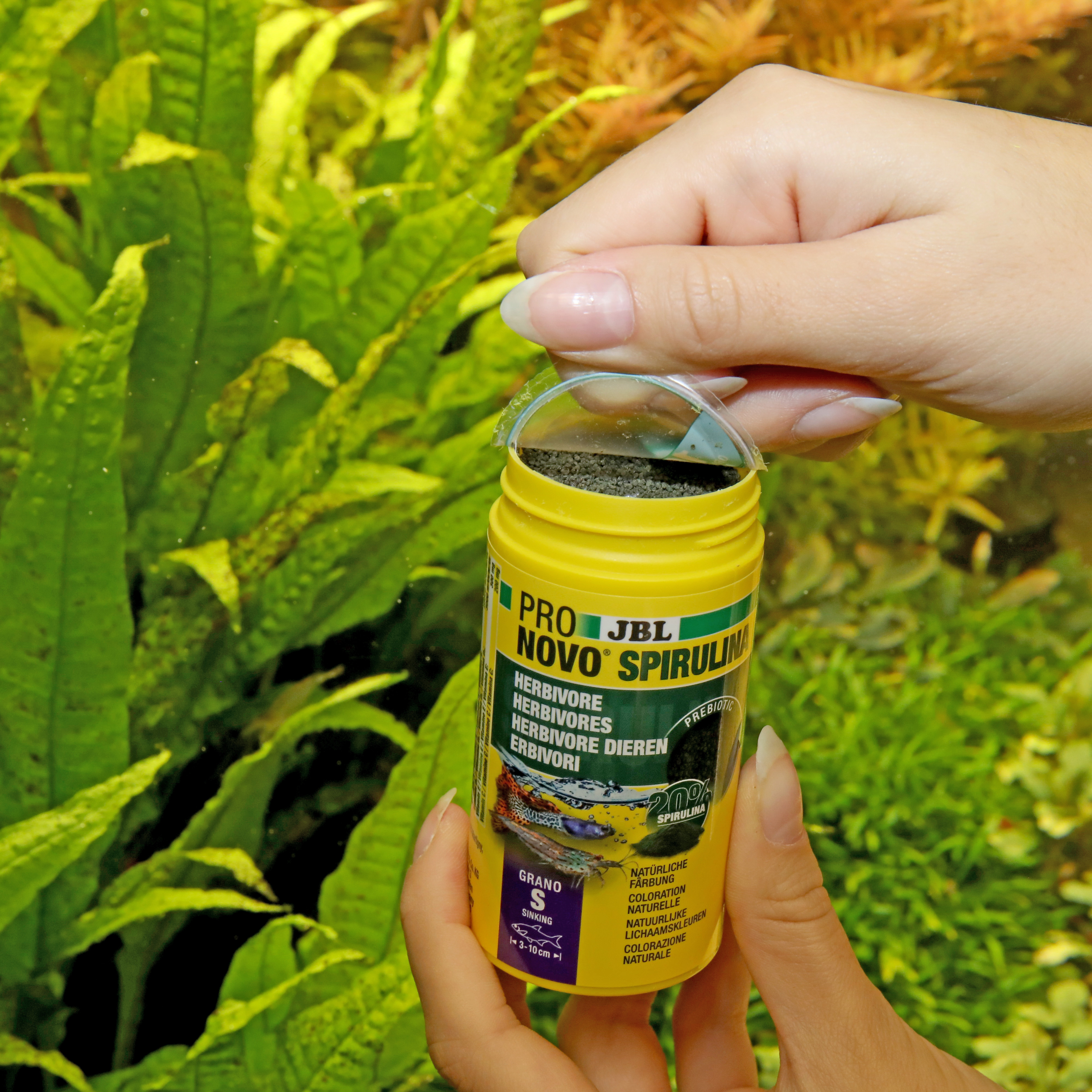 JBL Hauptfutter JBL PRONOVO Spirulina Grano S 100ml