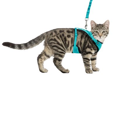 Trixie Mesh Y-Geschirr mit elastischer Leine