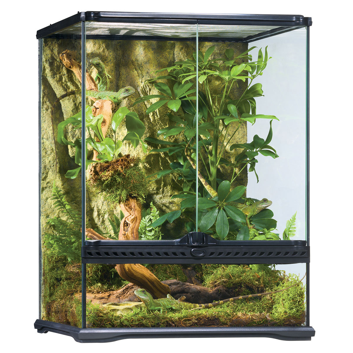 Exo Terra Glasterrarium 45x45x60 cm günstig kaufen