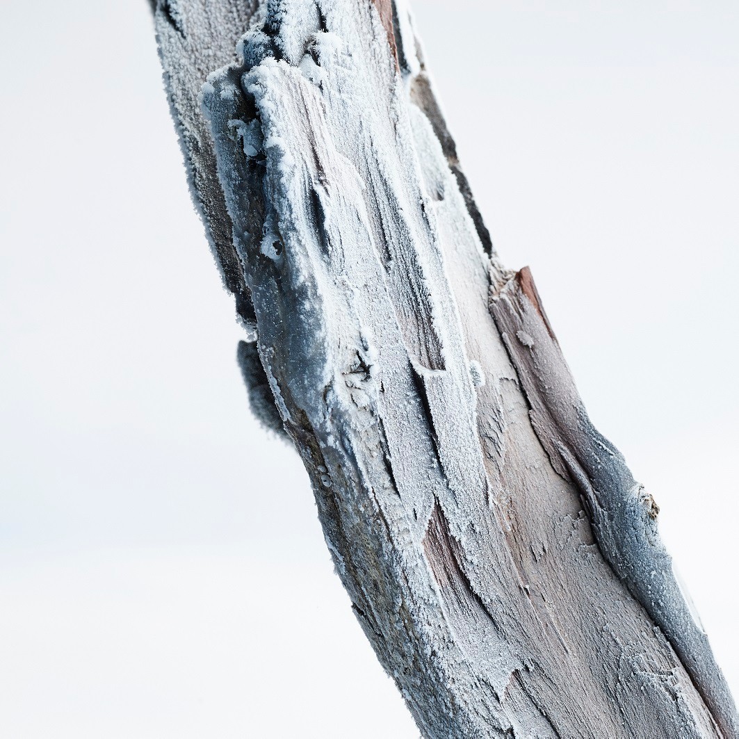 Glacial Essence