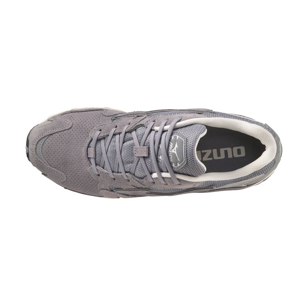 Mizuno Wave Rider 10 Premium D1GA227704 / grau