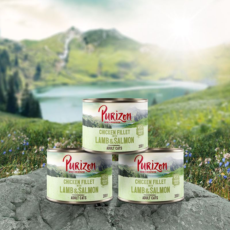 Purizon Adult Nassfutter 6 x 200 g zu TOP-Preisen