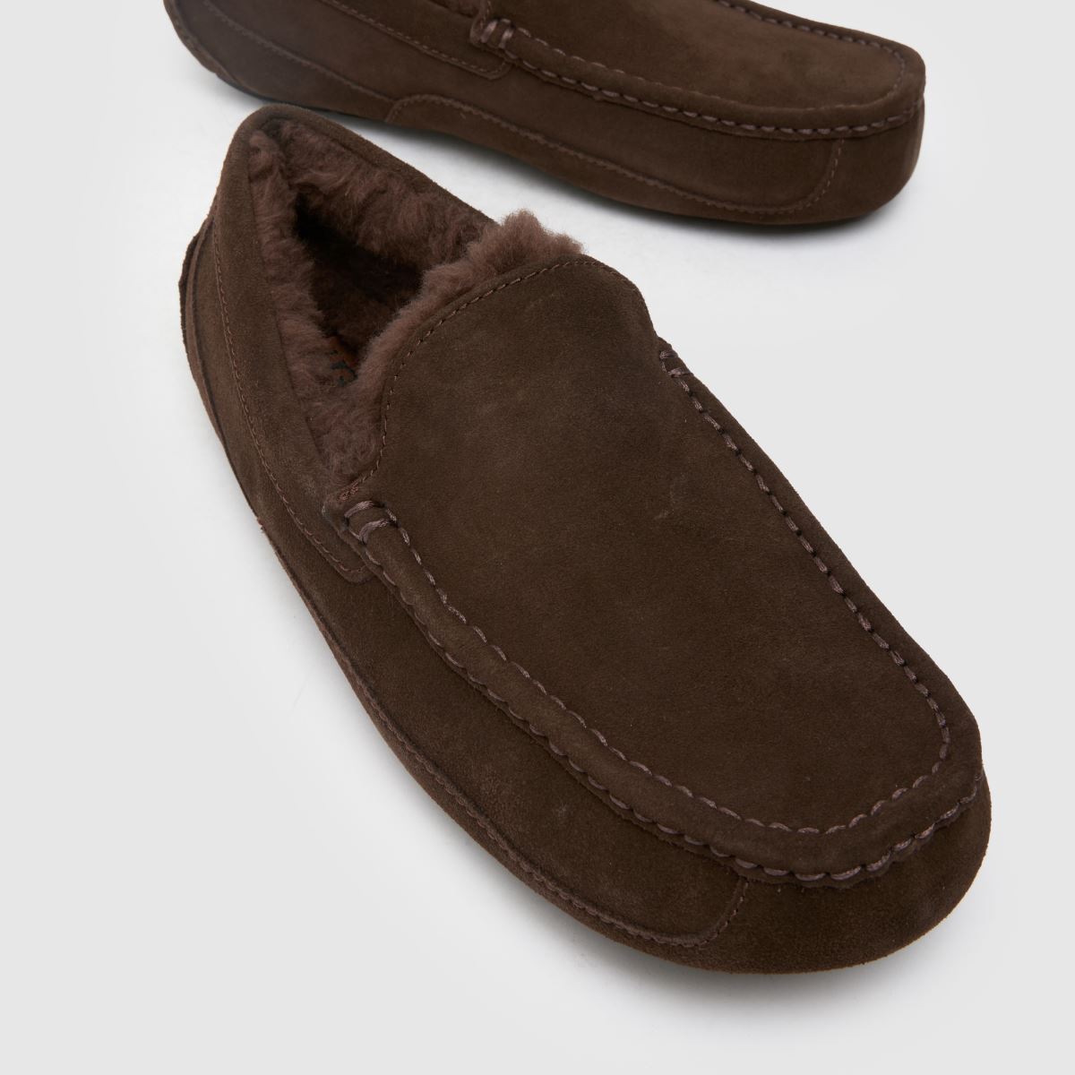 UGG Ascot-tofflor i kakaofärgad dammad