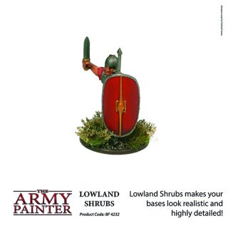 Tieflandsträucher / Lowland Shrubs