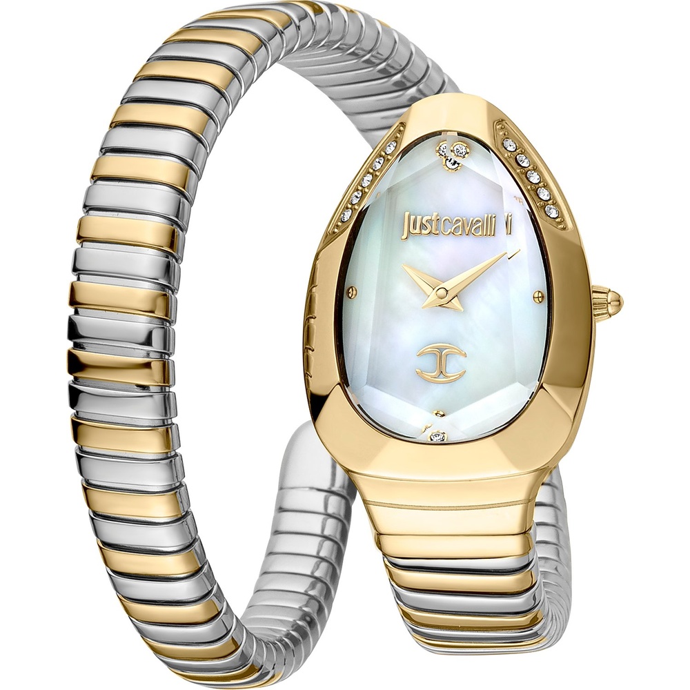 Just Cavalli Montre pour femme Acier inoxydable Montre