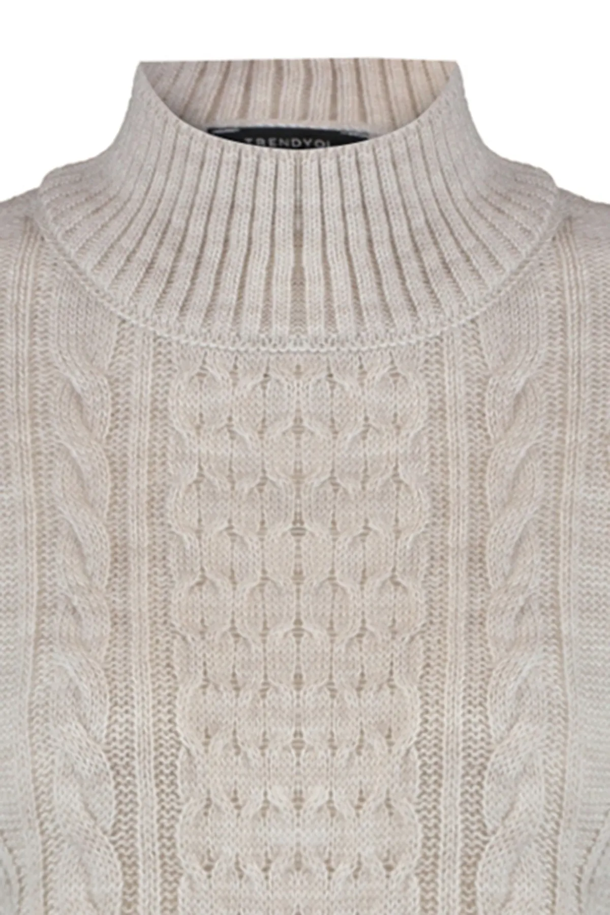 Trendyol Collection  Rollkragenpullover mit Steinstrickdetails TWOAW23SV00100