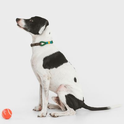 Nomad Tales Spirit Halsband, pine