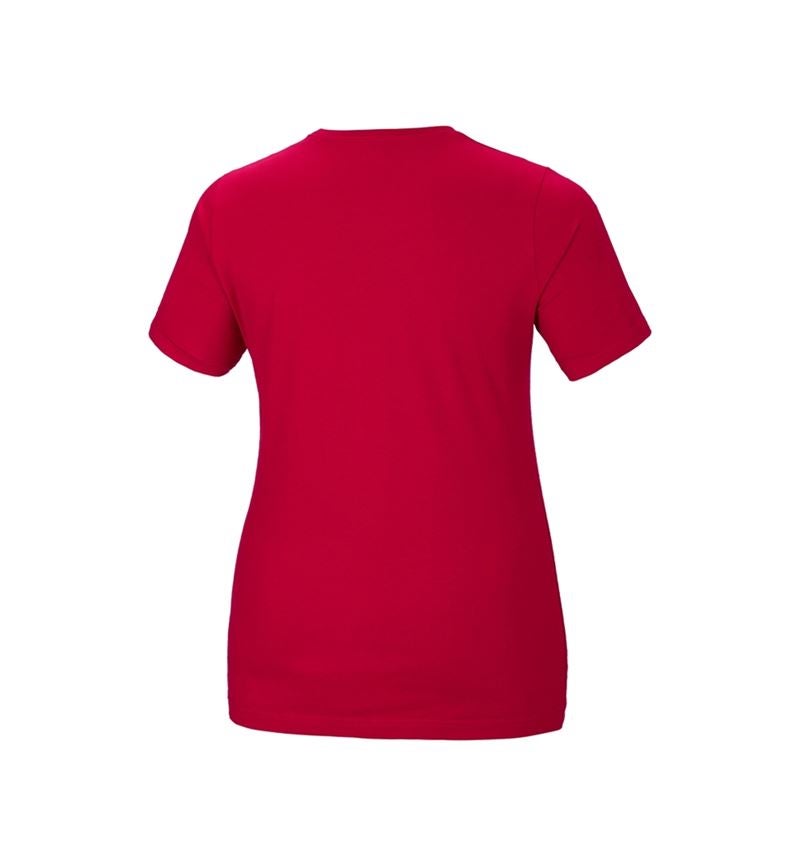 e.s. T-Shirt cotton stretch, Damen, plus fit