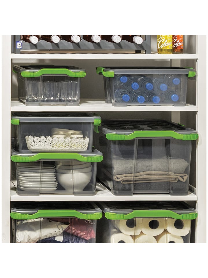 Rotho Box 15 l EVO TOTAL PROTECTION günstig kaufen onesize