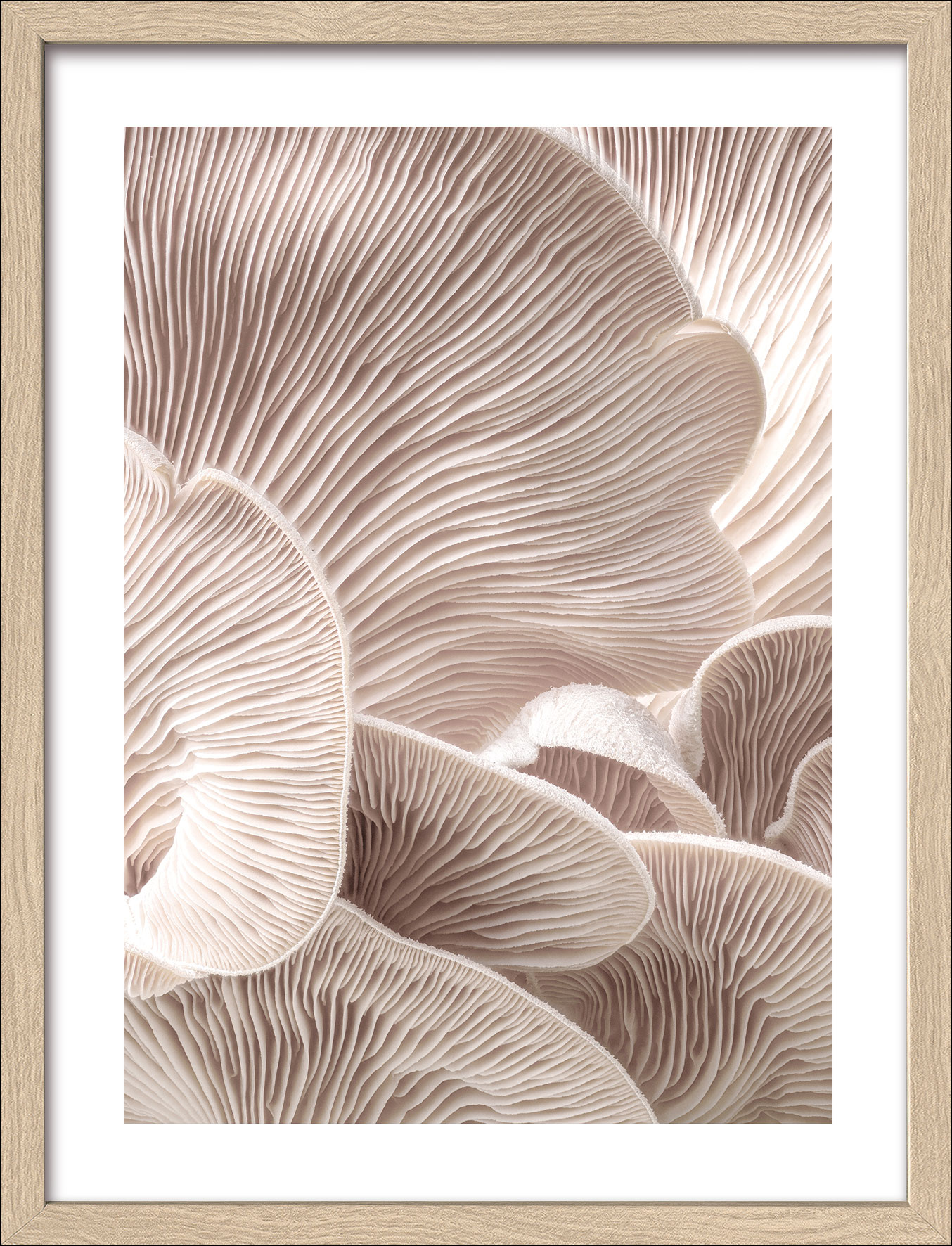 Pro ArtKunstdruck gerahmt 32,5x42,5cm