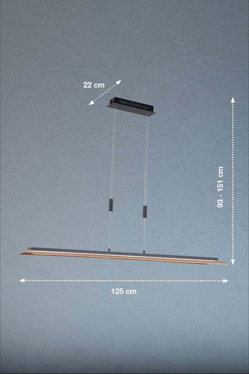 Fischer & Honsel LED Pendellampe Shine-Wood Schwarz