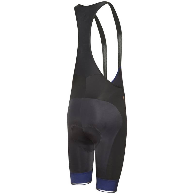 RH+ Logo Evo Bibtights Herren