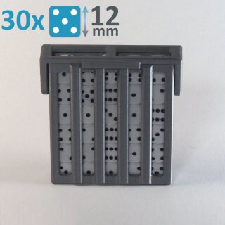 Dice Pro Keeper - 12mm (Silber)