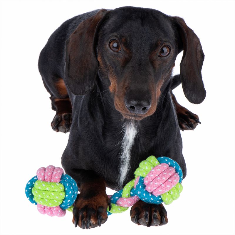 Hundespielzeug Limoen Knochen zu TOP-Preisen