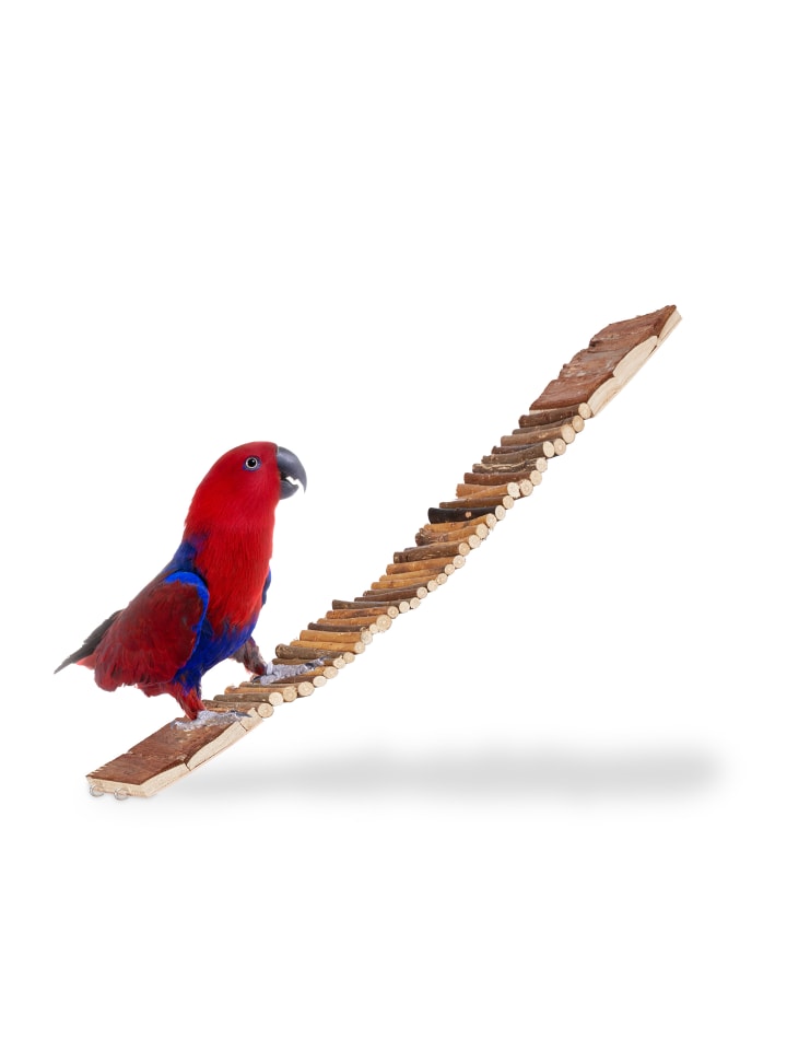 relaxdays 3x Hängebrücke in Natur - (B)55 x (T)10 cm günstig kaufen onesize