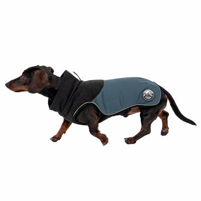 TIAKI Hundemantel Warmup Pro Sky