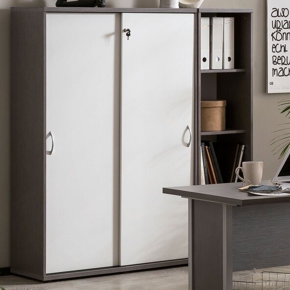 Serie 4000 Aktenschrank 4800, esche grau/weiß matt