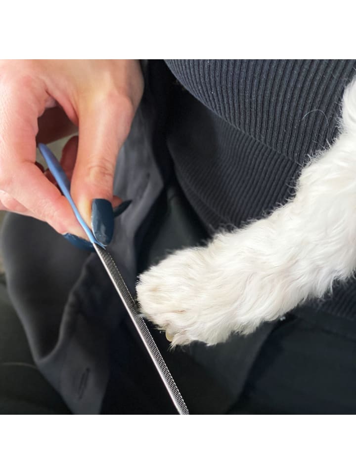 Intirilife Krallenschere für Hunde Nagelfeile in Blau günstig kaufen onesize