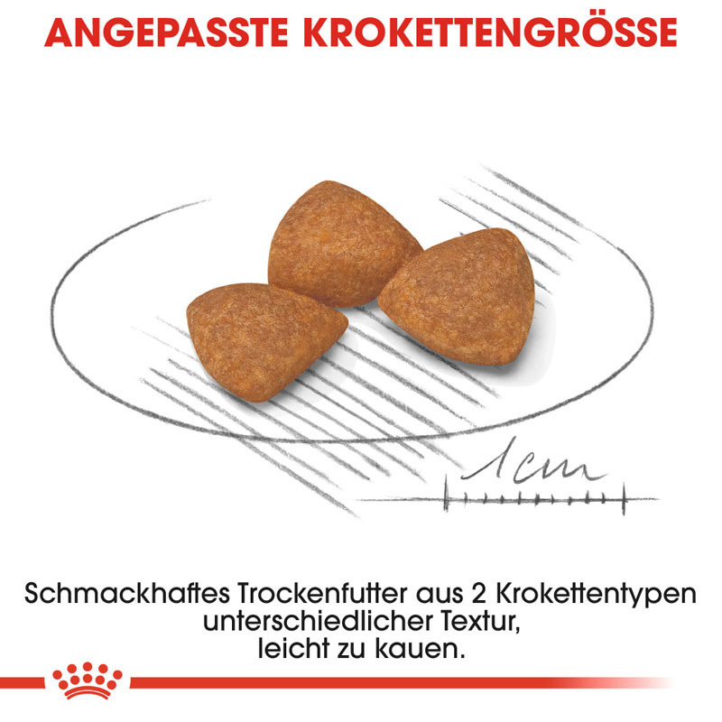 ROYAL CANIN Hundetrockenfutter ROYAL CANIN X-Small Ageing 12+ 1,5 kg