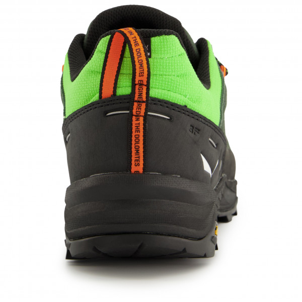 Salewa - Alp Trainer 2 - Multisportschuhe