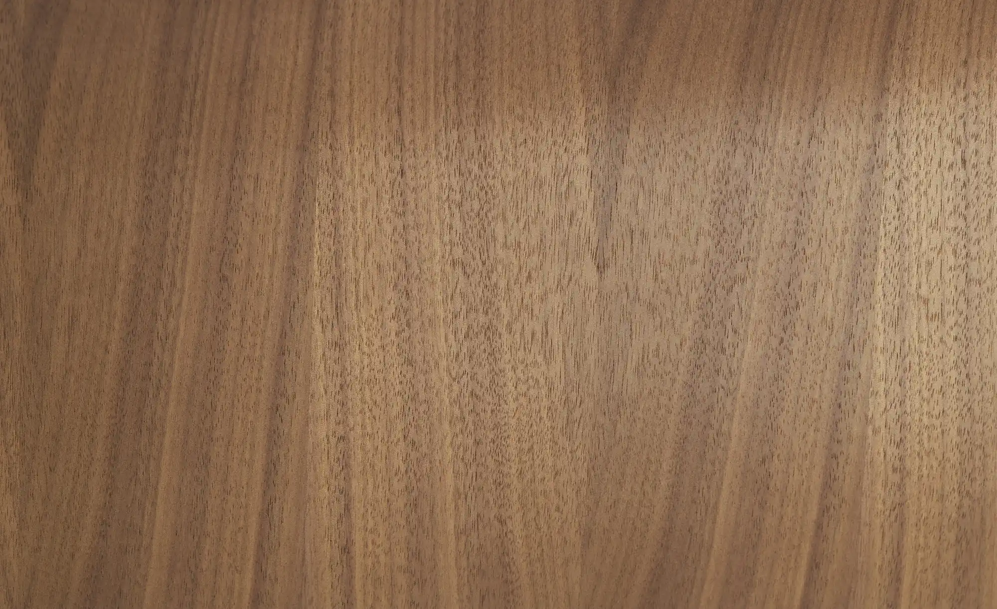 Sessel in Leder mit Knopfnaht