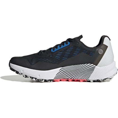 HERREN TRAILRUNNINGSCHUHE TERREX AGRAVIC FLOW 2 GTX